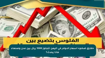 «فارق ضخم» أسعار الدولار في اليمن تتجاوز 1000 ريال بين عدن وصنعاء ماذا يحدث؟